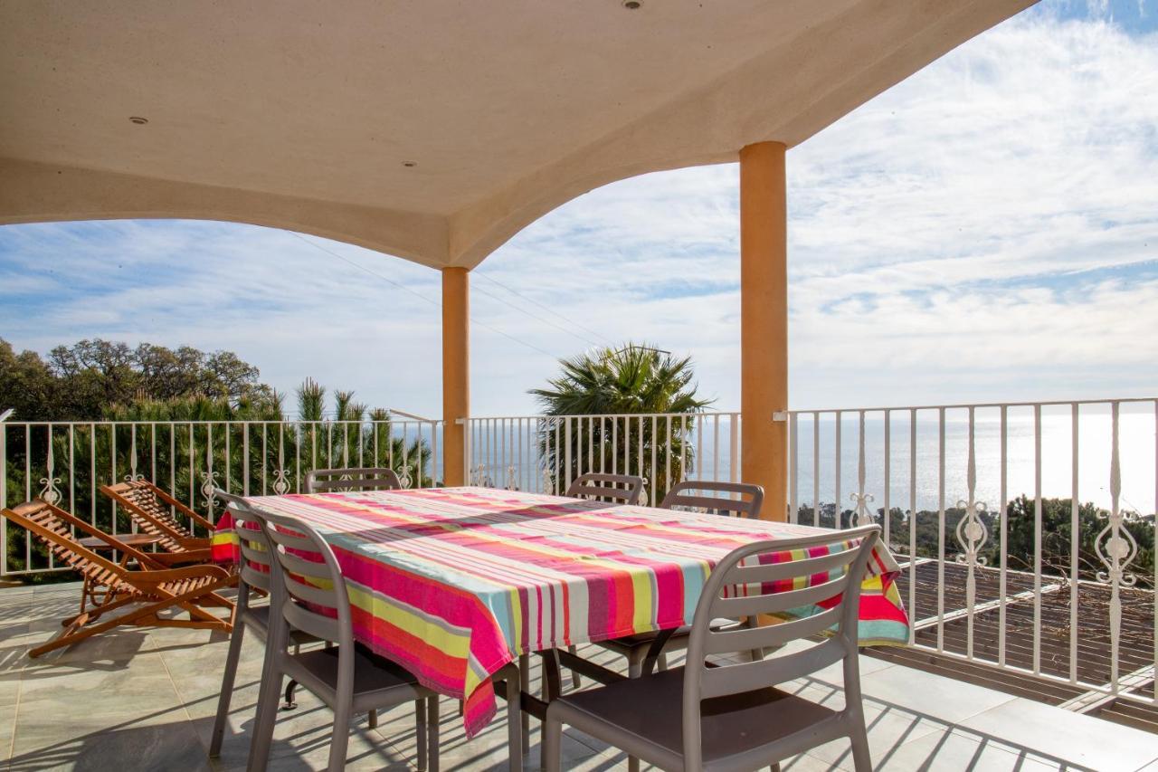 Apartment Monte Cristo