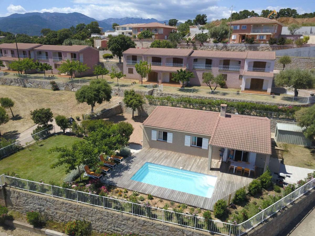 Apartment Monte Cristo *