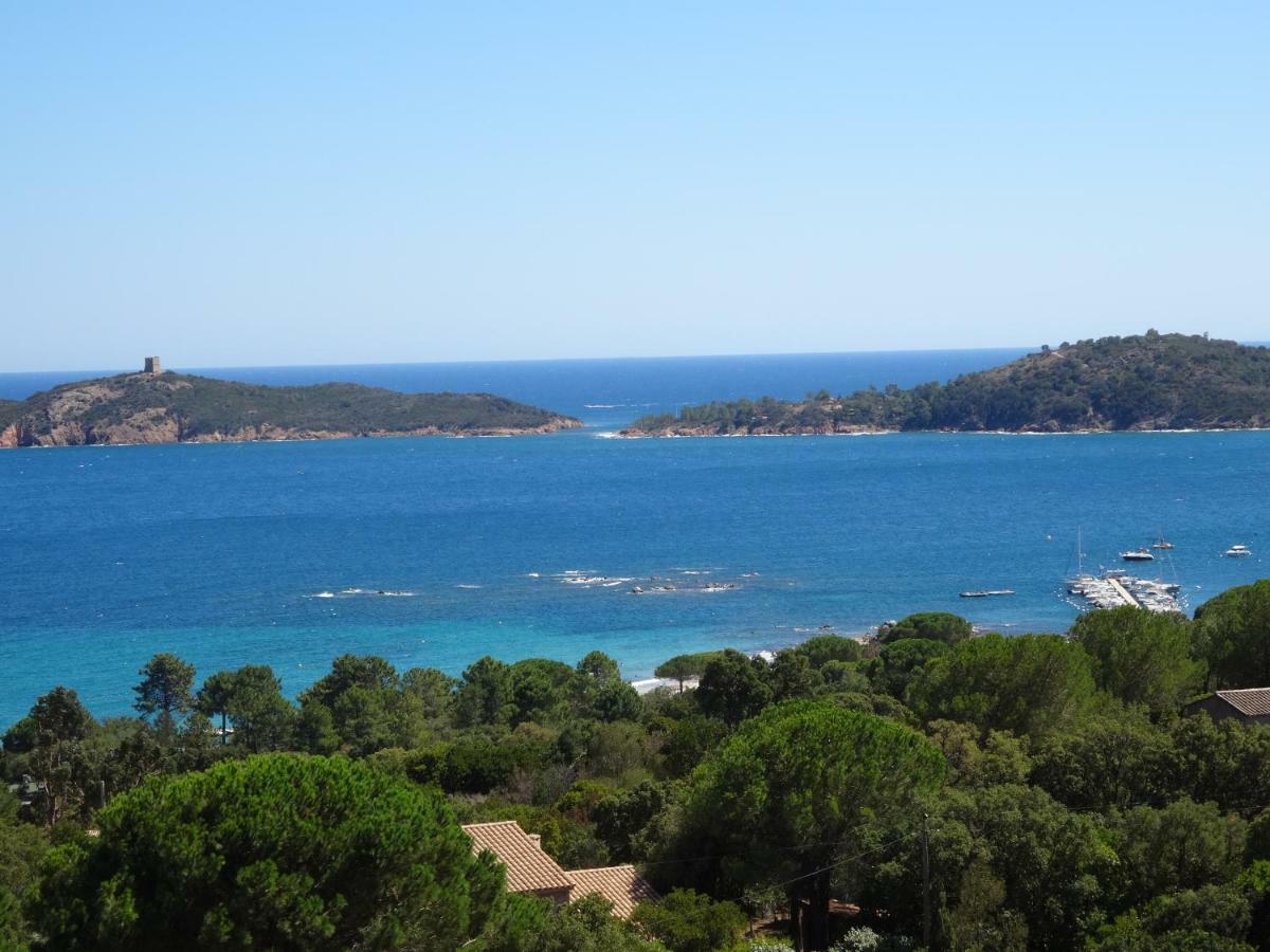 Apartamento Monte Cristo